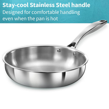 Hawkins Pro 26 cm Frying Pan, Triply Stainless Steel Fry Pan with Stainless Steel Handle and Stainless Steel Lid, Silver (PSF26S)